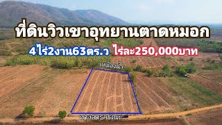 #ขายที่ดินสวยวิวเขาอุทยาน-ใกล้ชุมชน/Land for sale phetchabun thailand.