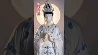 南無阿彌陀佛 許個願吧 心誠則靈 有求必應 #南無阿彌陀佛 #NamoAmitabha #나모아미타불 #南無阿弥陀仏 #नमोअमिताभ #修心 #佛 #shorts #佛教