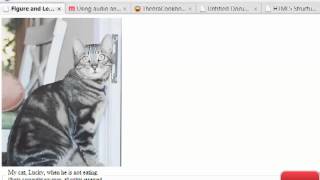 HTML5 Programming Tutorials 14 02