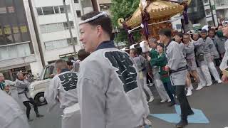 四谷総鎮守　須賀神社　例大祭　四谷一丁目　本社神輿渡御　2024/06/02  b11