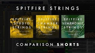 Spitfire Strings Comparison - Shorts (Spitfire Studio Strings)