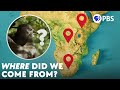 There's No Single Cradle of Humankind