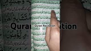 पवित्र कुरान❤️Quran sharif recitation #quran #shorts