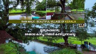 ഇതുപോലൊരു മഴക്കാല കാഴ്ച്ച നിങ്ങൾ കണ്ടിട്ടുണ്ടാകില്ല.| RainWalk in a Beautiful Kerala Village. |