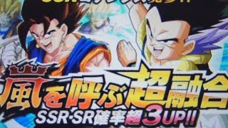 [ドッカンバトル]SSR・SR確率超3UPガチャ引いた結果は!?新SSRはゴテンクス!![ドラゴンボールZ]