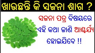 ସଜନା ପତ୍ରର ଉପକାରିତା | সাজনা পত্র রা উপকরিত | সজন পাত্রের উপকারিতা | ওডিয়া স্বাস্থ্য টিপস