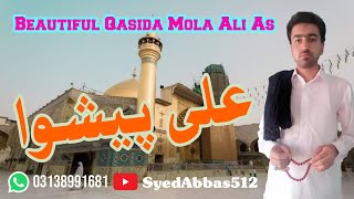 Ali Peshwa Ay (على پیشوا هے) Qasida 2021 Syed Abbas Haider