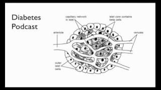 Diabetes Part 4 Podcast