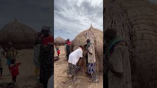 Traditional Hut Building Techniques #ethiopia #HutBuilding #AfricanVillageLife #SustainableHousing