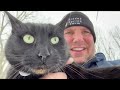 chainsaws and barn cats farm vlog