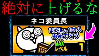 【初心者注意】ネコ委員長のレベルを上げてはいけません　にゃんこ大戦争