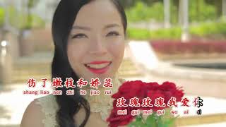 张水蓉 《玫瑰玫瑰我爱你 巧合》Mei Gui Mei Gui Wo Ai Ni   Qiao He