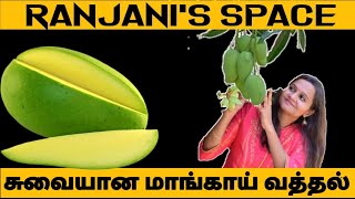 மாங்காய் நிறைய இருந்தால் இத செஞ்சு வைங்க! |Preserving raw mangoes