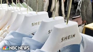 Online influencers face backlash over brand trip with Shein