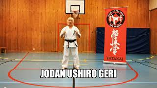 Jodan Ushiro Geri