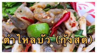 แจกสูตร ตำไหลบัวกุ้งสด แซ่บนัวๆ | @Cherd-kanumarn