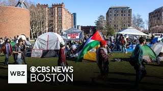College students in Boston, across country protest war in Gaza