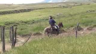 Magnifique travail des Gauchos en Argentine dans la Province de SALTA