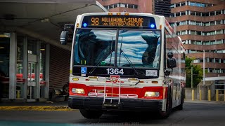 TTC 98 Willowdale-Senlac Announcement