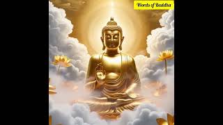 ဗုဒ္ဓဘာသာဆိုတာ ဘာလဲ၊ ပါမောက္ခချုပ်ဆရာတော်ဘုရားကြီး။