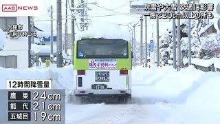 大雪の影響で交通機関に影響も　17日夕方にかけて吹雪による交通障害に注意　/秋田　 (2025/01/17 12:10)