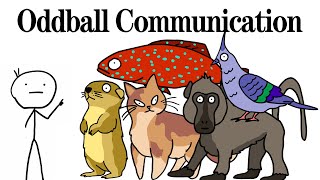Most Oddball Communication Methods In Nature #animals #biology #wildlife