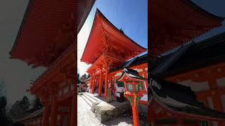 お祓い　浄化　一万人に一人しか見えません【賀茂別雷神社遠隔参拝】#shorts #瀬織津姫 #運気上昇 #パワースポット #遠隔参拝 #スピリチュアル #金運上昇