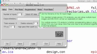 ICA Analysis, Step II: Melodic Demo, Part I