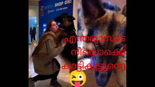 ശ്ശോ,എനിക്ക് ഭാഗ്യമില്ല😌 #shortsfeed  #funny  #doglover  #dog