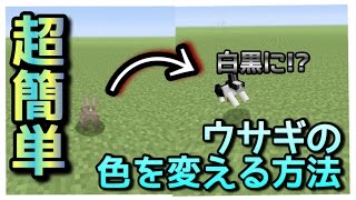 【マインクラフト】超簡単‼︎ウサギの色を変える方法