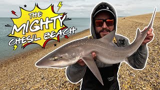 The Mighty Chesil Beach 🎣 A Day Fishing on the Mighty Shore🌊