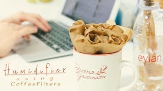 DIY  Humidifier using Coffee Filters＊DIYで乾燥対策！オフィスにオススメ簡易加湿器