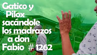 Gato y Pilox sacándole los madrazos a don Fabio vídeo para reír 1262