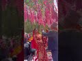 Nepali bihe/ New nepali wedding/ Nepali marriage dance/ New nepali viral video/Nepali trending video