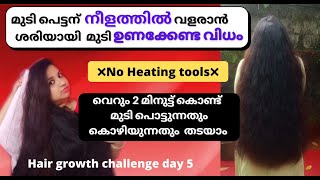 Day 5 :Towel ഉപയോഗിച്ച് ശെരിയായി മുടി ഉണക്കേണ്ടവിധം/മുടി പെട്ടന്ന് നീളത്തിൽ വളരാൻ ഇതുപോലെ ചെയ്യു 💯💯💯