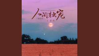 人间独宠 (烟嗓版, DJ沈念版 伴奏)