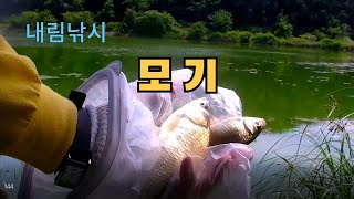 내림낚시 144  -  모기