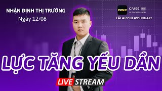 Nhận Định Thị Trường Chứng Khoán 12/8: Vnindex Lên Trong Nghi Ngờ. Cuối Sóng Nên Mua Nhóm Ngành Nào?