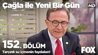 Tarçınlı su içmenin faydaları! Çağla ile Yeni Bir Gün 152. Bölüm