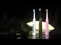 Seago Oral Care Rechargeable Electronic Toothbrush SG-570