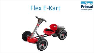 Flex E Kart 6v Armado