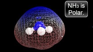 Is NH3 Polar or Nonpolar? (Ammonia)
