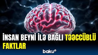 İnsan hüceyrələri kosmosda sağ qaldı? | Elmi araşdırmanın nəticələri