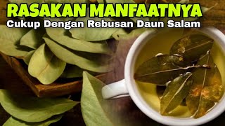 Selain BUMBU PENYEDAP‼️Inilah 8 Manfaat dari DAUN SALAM Untuk Kesehatan || SOBAT SEHAT