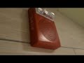 wheelock speaker strobe fire alarm no audio