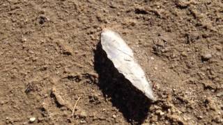 A Trip Through "Guilford Straight"! ~ 479 Artifact Find! Oct 2016
