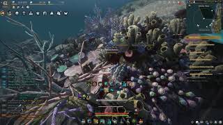 BDO - Giant Oyster Rotation