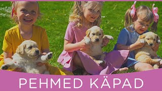 PEHMED KÄPAD - Laulupesa lapsed