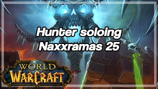 [World of Warcraft] Hunter soloing Naxxramas 25, All Bosses