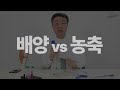 연세사랑병원 해외에서 줄기세포 주사 맞기 그럴 필요 없습니다